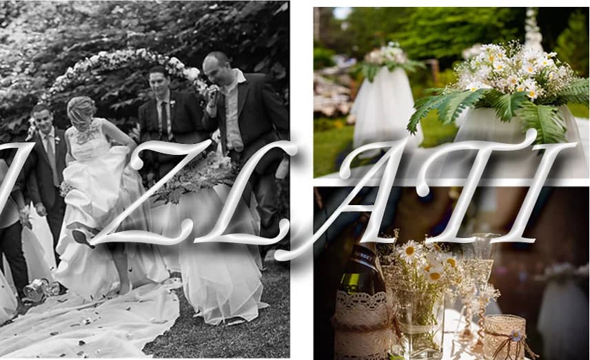 DJ Злати Петров - Сватбен Дисководещ